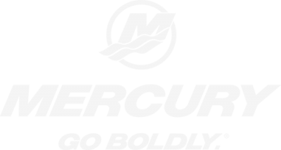 Mercury go boldly usa lockup centered flat 1
